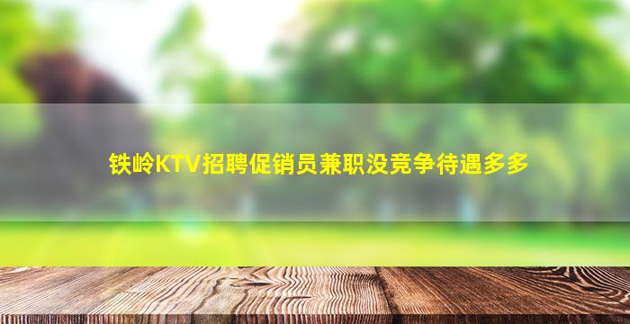 铁岭KTV招聘促销员兼职没竞争待遇多多